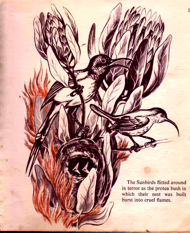 page-19