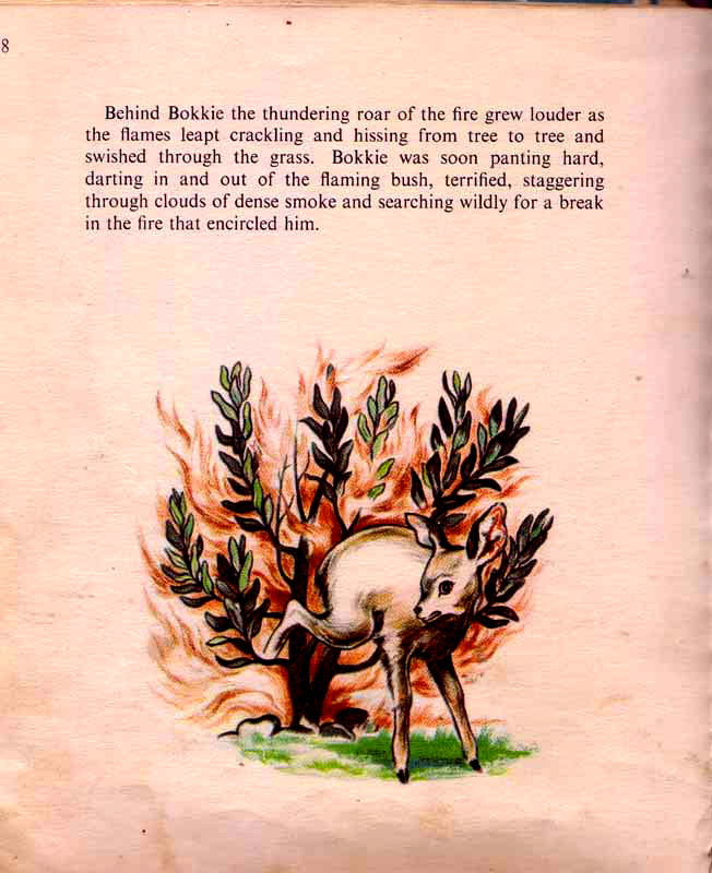 page-20