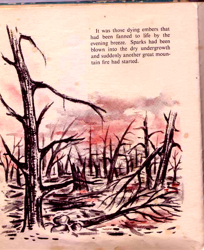 page-24