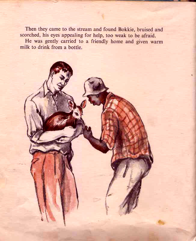 page-26