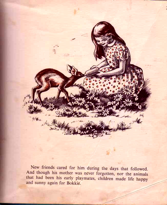 page-27