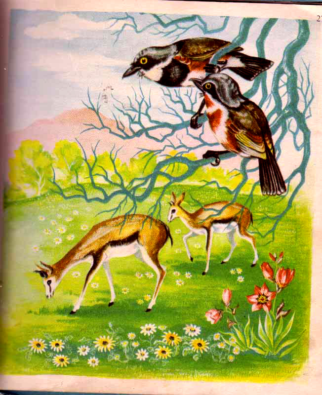 page-30