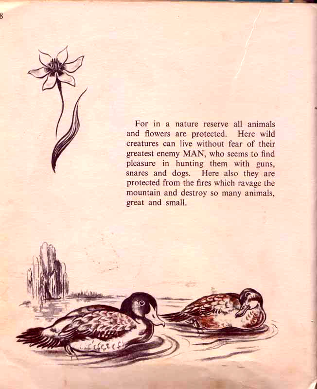 page-31