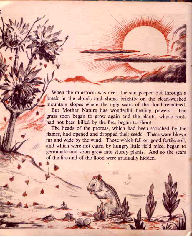 page-35