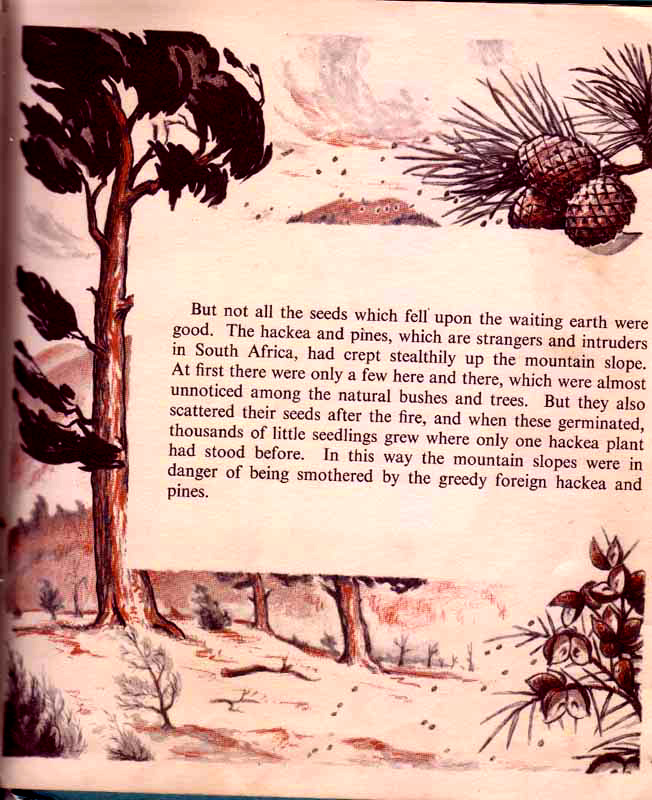 page-36