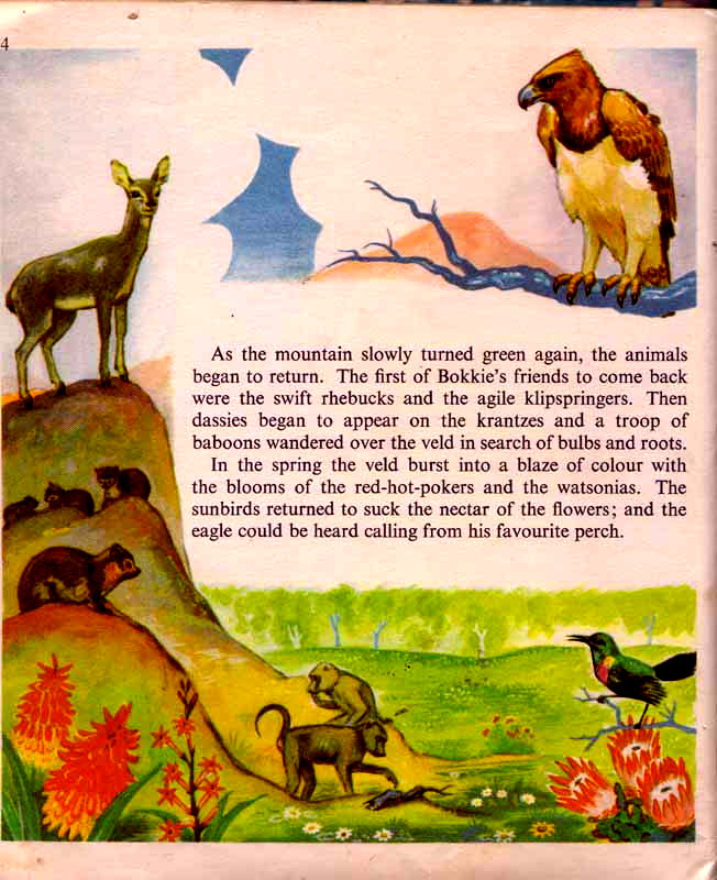 page-37