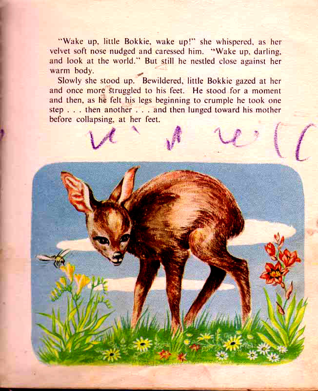 page-9